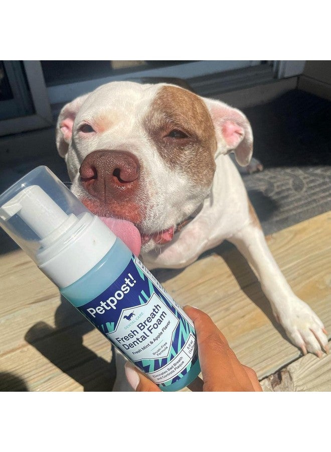 Petpost | Fresh Breath Foam For Dogs  Mint & Apple Flavored Dental Solution That Eliminates Bad Breath  Natural Tooth Cleaning Treatment 5 Oz. - Image 5