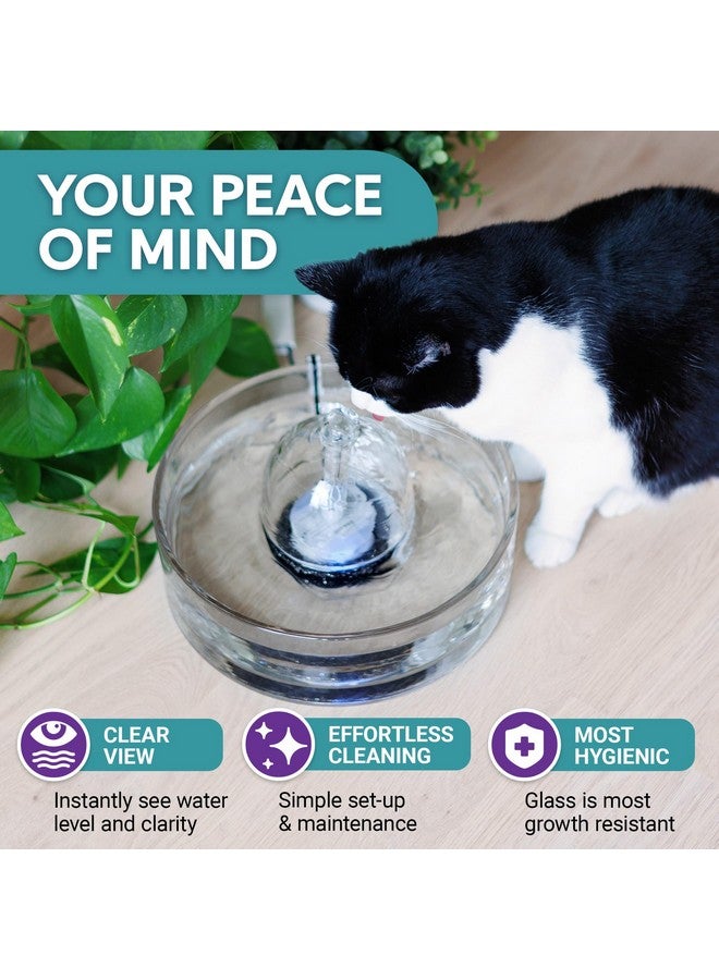 Brook Glass Pet Fountain (90oz/2.7L) - Cat Water Fountain & Small Dog Drinking Fountain - Automatic Water Dispenser Cat Fountain - Image 2
