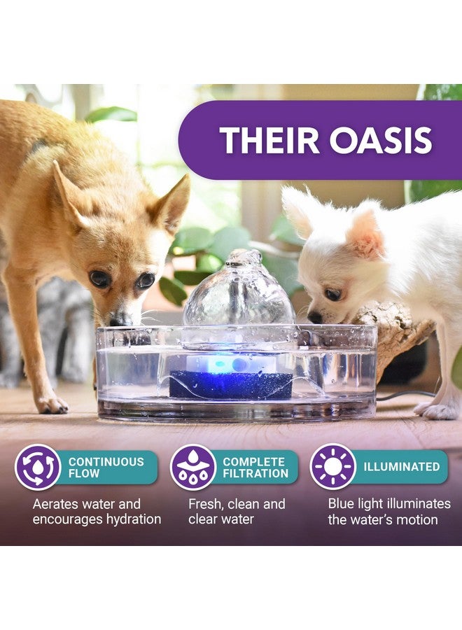 Brook Glass Pet Fountain (90oz/2.7L) - Cat Water Fountain & Small Dog Drinking Fountain - Automatic Water Dispenser Cat Fountain - Image 1