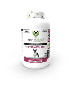 VetriScience Laboratories Laboratories  Ut Strength Stat For Dogs, Urinary Tract Support Supplement For Dogs, 90 Chewable Tablets  - Image 1