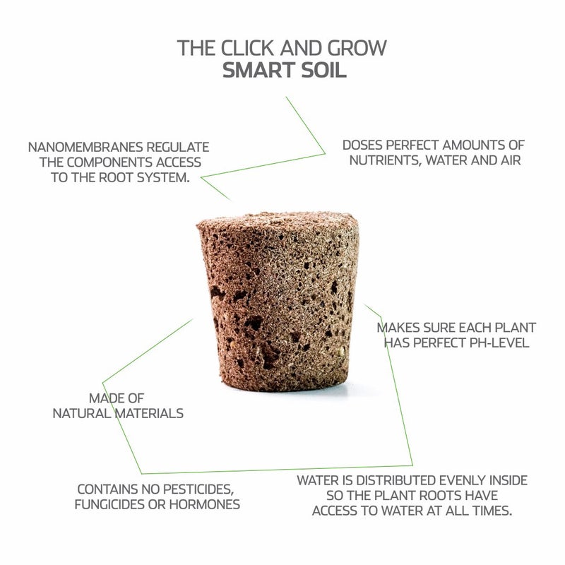 CLICK AND GROW أقراص نبات إكليل الجبل من كليك آند جرو سمارت جاردن، عبوة 3 قطع - Image 5