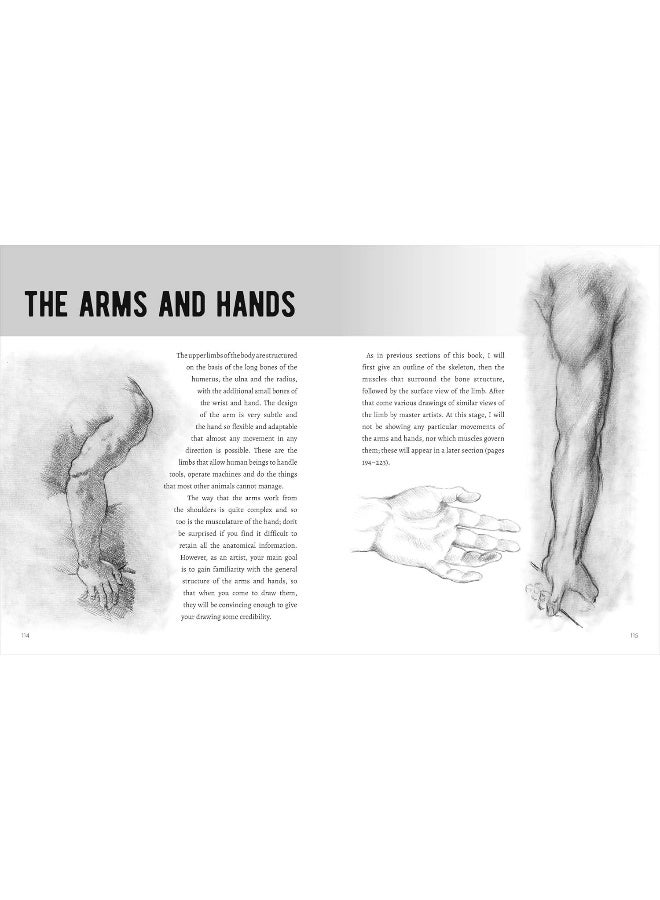 Anatomy for Artists: Complete with Draw-In Pages to Refine Your Skills - Image 4