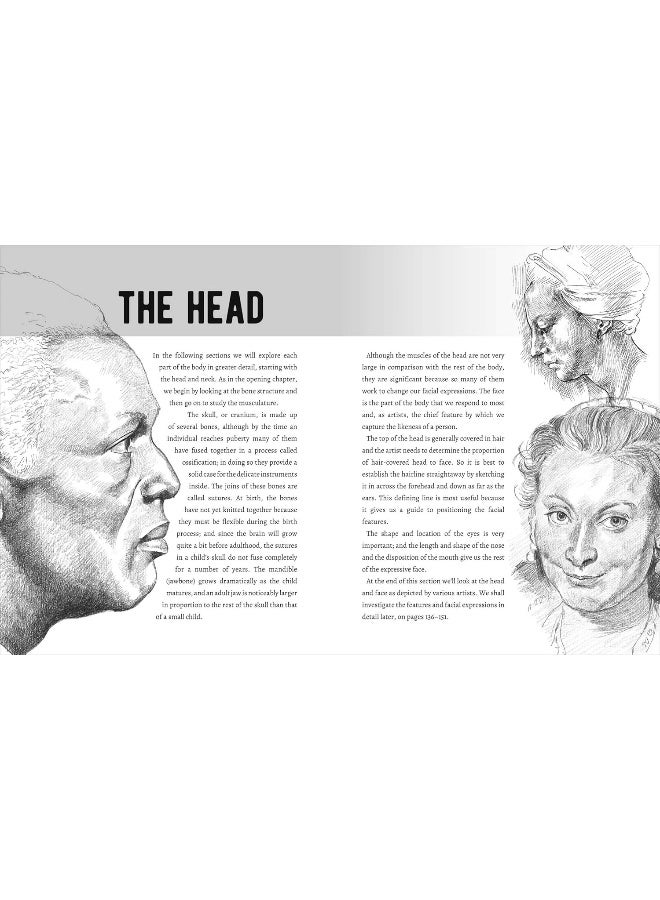 Anatomy for Artists: Complete with Draw-In Pages to Refine Your Skills - Image 2