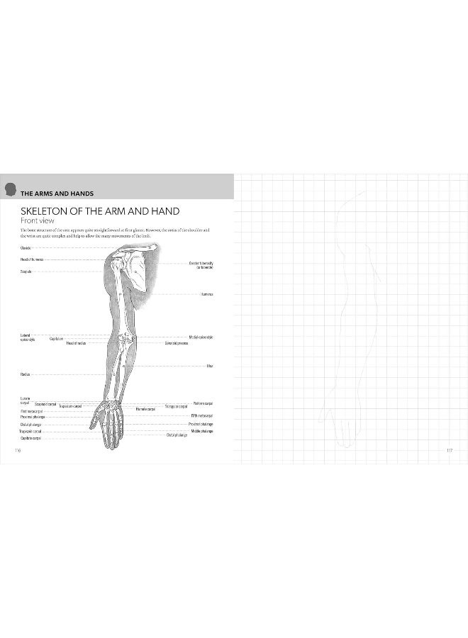 Anatomy for Artists: Complete with Draw-In Pages to Refine Your Skills - Image 5