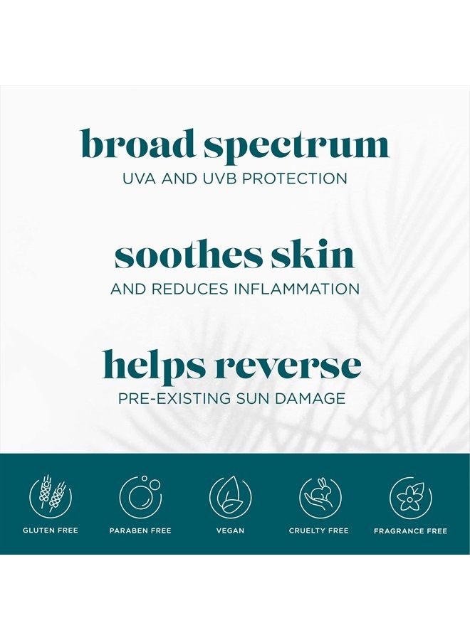 Vi Derm VI Derm Lightweight Daily UV Defense Broad Spectrum SPF 50+ Sunscreen, 2 Fl Oz / 59 mL - Image 4