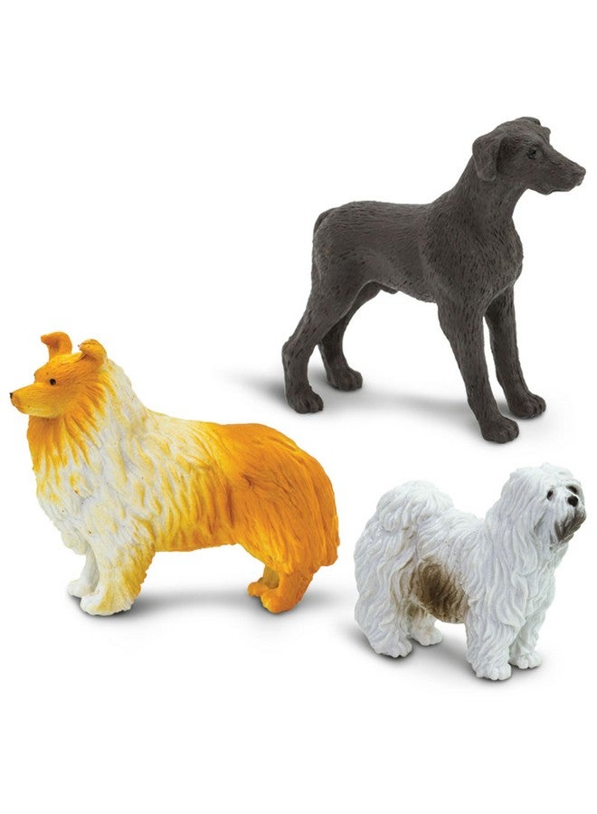 Safari Ltd. Safari Ltd. Dogs Toob - Mini Figurines: Dachshund, Dalmatian, Retriever, Sheepdog, Collie, Shepherd, Beagle, Boxer, Great Dane, Doberman, Bulldog - Educational Toys for Boys, Girls & Kids Ages 3+  - Image 4