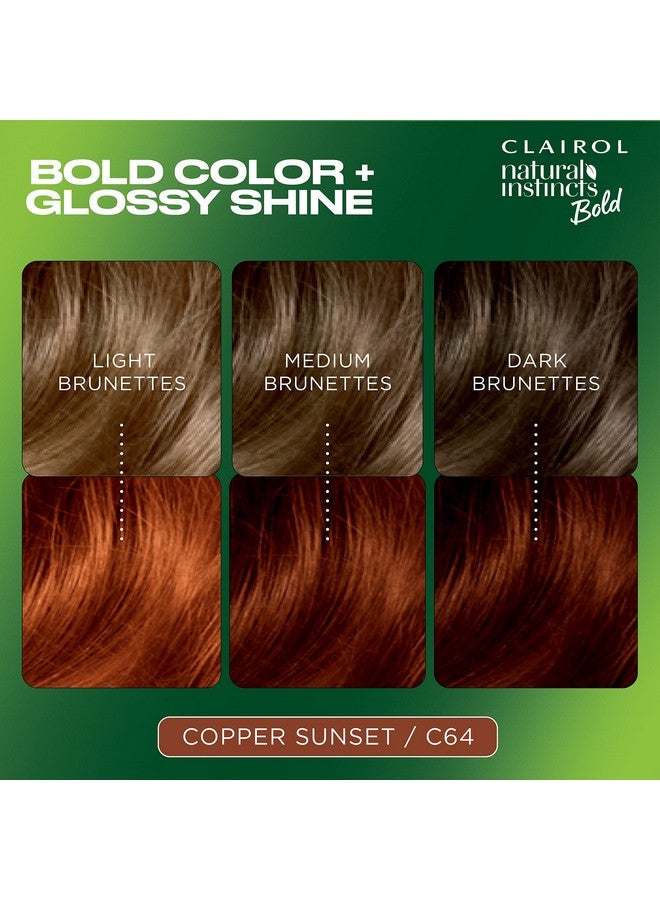 Clairol Natural Instincts Bold Permanent Hair Dye, C64 Copper Sunset Hair Color, Pack of 1 - Image 2