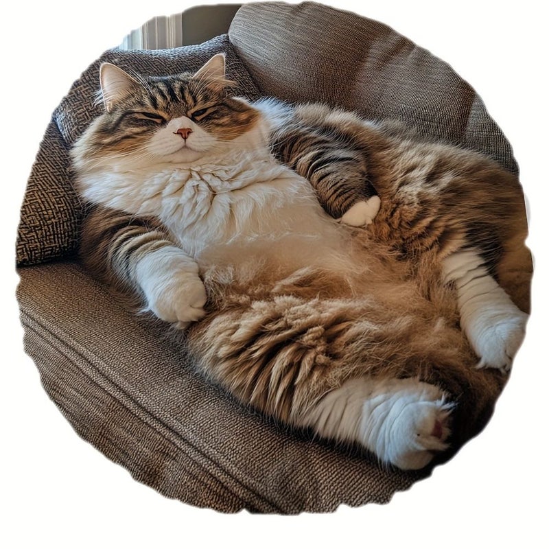16x16 Inch Double Sided Fluffy Cat Pillow For Couch Bed Car - Image 1