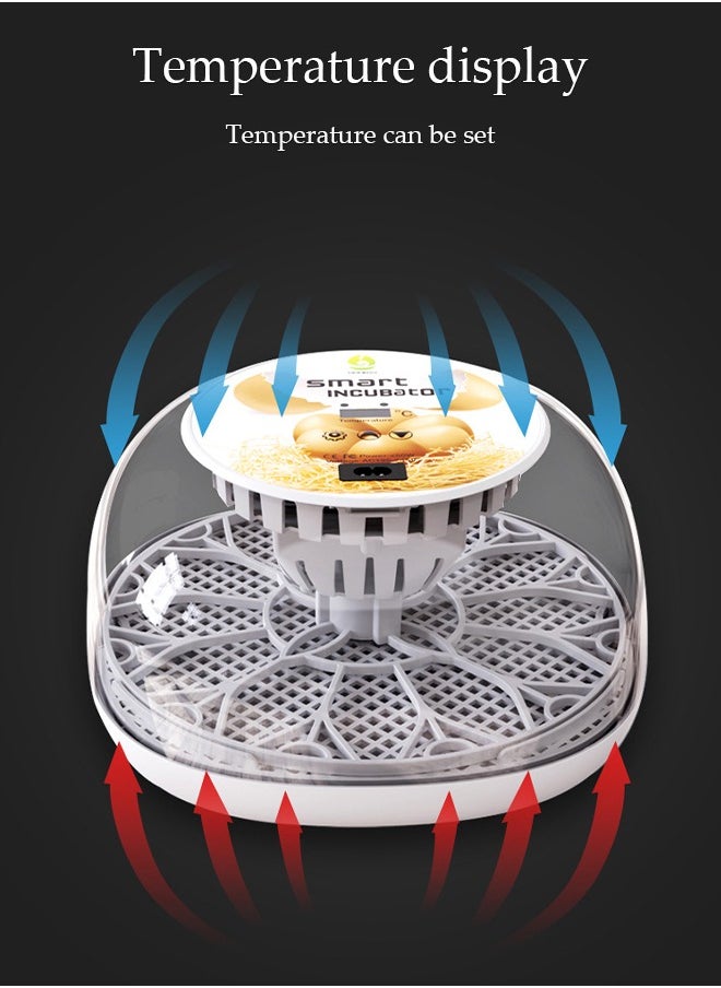 DUNISO - Egg Incubator, Fully Automatic Incubator for 12 Eggs, Poultry Incubator , Equipped with Automatic Egg Flipping and Temperature Display, Suitable for Incubating Chickens, Ducks, Geese, Quails，26*26*14CM - Image 1