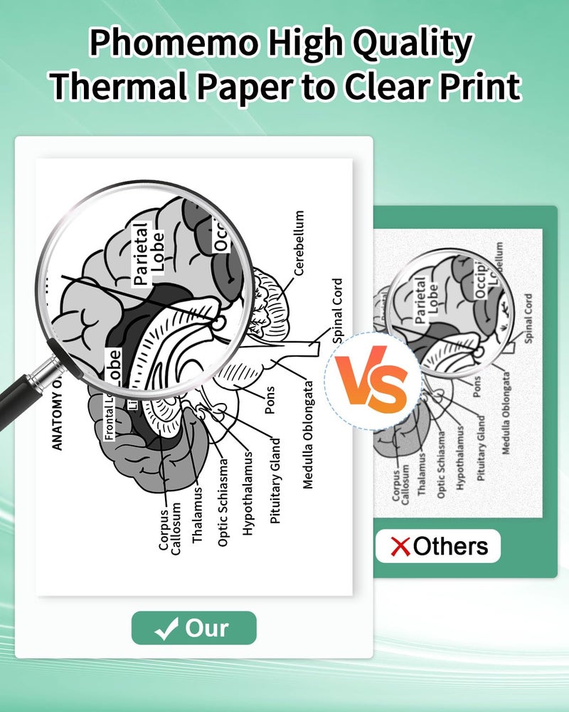 Phomemo 2 Rolls 8.27"x11.69" Thermal Printer Paper, Quick-Dry A4 Size Thermal Paper Compatible with M08F Portable Printer - Image 5