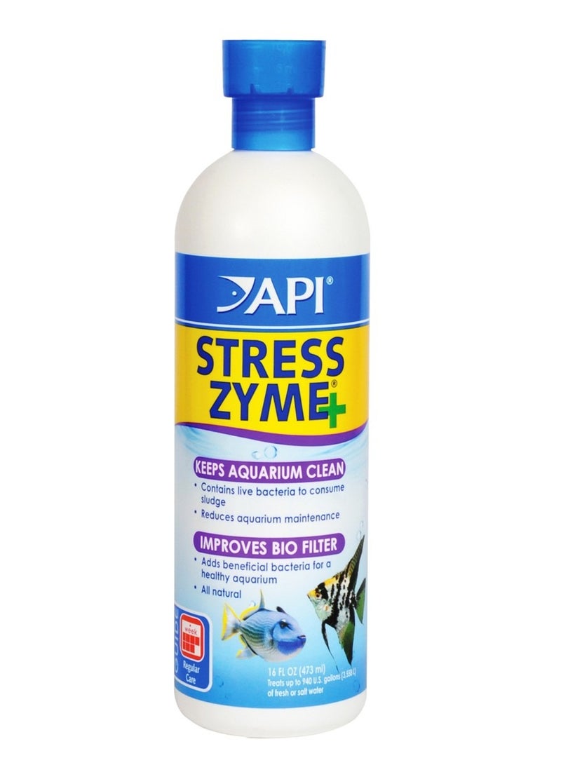 API Stress Zyme, 16 OZ