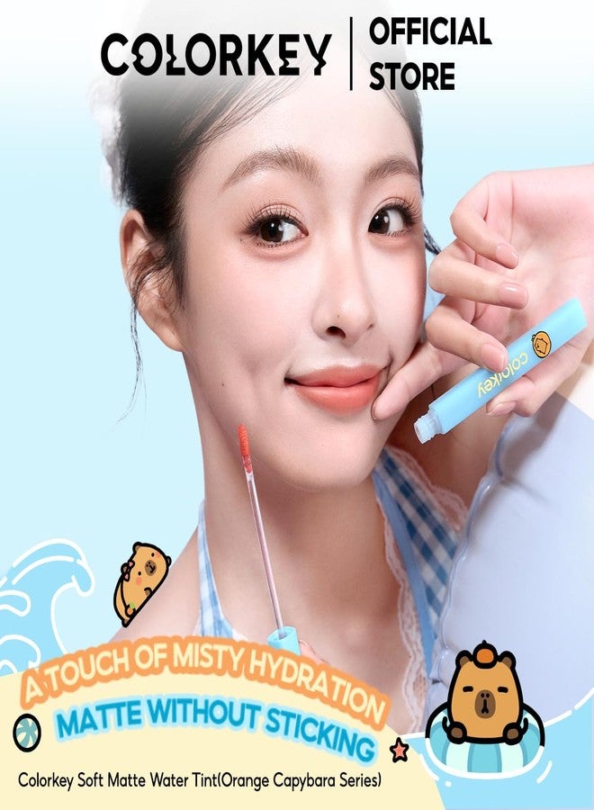 COLORKEY Capybara Soft Matte Lip Tint, Lightweight, Non-sticky, Long-lasting, Hydrating, High Pigmentation, Waterproof, Natural Nude Finish (R300) - Image 2