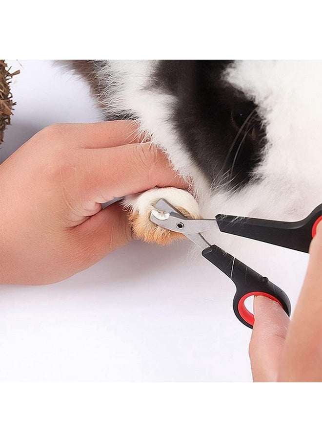 Premium Stainless Steel Clippers For Precise Pet Grooming, Safe And Effortless Nail Dogs, Cats, Puppies, And Kittens Pack Of 1 - pzsku/Z6D07FEDEA0243DD9EEEDZ/45/_/1728308672/29923124-f568-4445-8a02-f7b13a160fc1