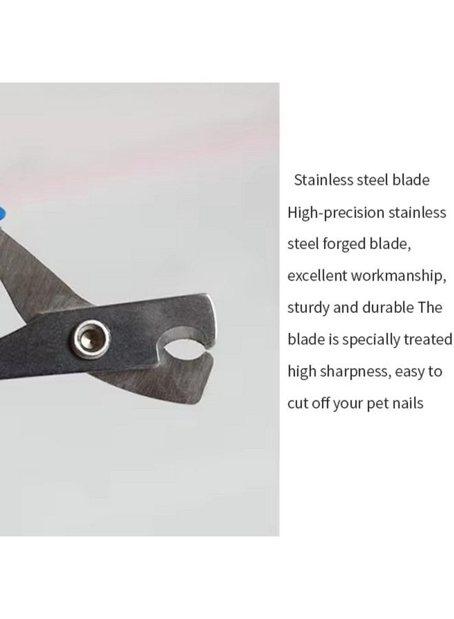 بت ماكينة قص شعر ممتازة من الفولاذ المقاوم للصدأ للعناية الدقيقة بالحيوانات الأليفة، آمنة وسهلة لقص أظافر الكلاب والقطط والجراء والقطط الصغيرة، عبوة من قطعة واحدة - Image 3