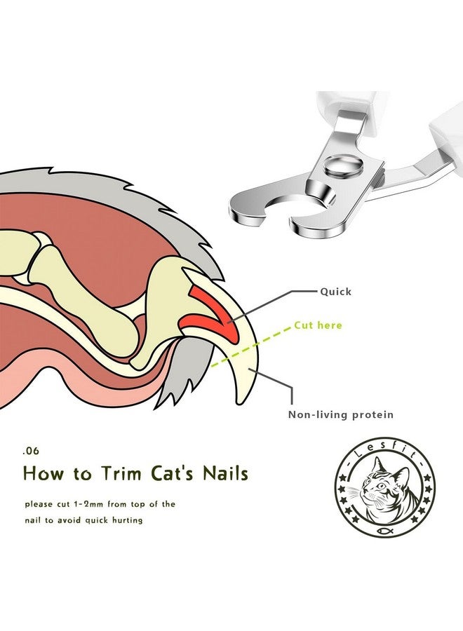 بت ماكينة قص شعر ممتازة من الفولاذ المقاوم للصدأ للعناية الدقيقة بالحيوانات الأليفة، آمنة وسهلة لقص أظافر الكلاب والقطط والجراء والقطط الصغيرة، عبوة من قطعة واحدة - Image 4