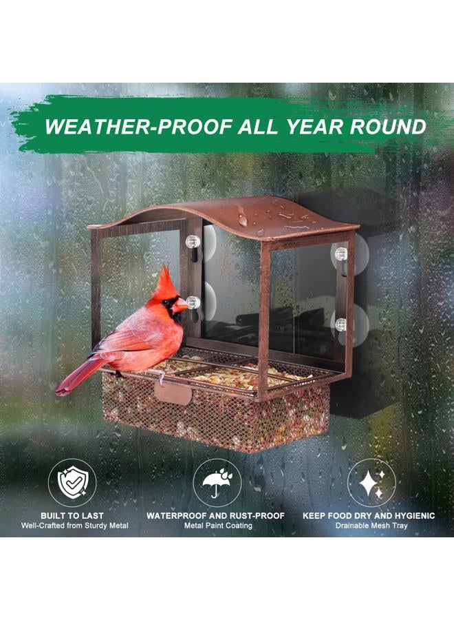 Lilyang Metal Window Bird Feeder, Window Bird Feeders for Outside with Strong Suction Cup, Wild Bird Watching Gift with Superb Bird-Watching View - Image 5