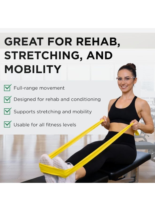 Resistance Band Set, Professional Latex Elastic Bands for Upper & Lower Body & Core Exercise, Physical Therapy, Lower Pilates, At-Home Workouts, and Rehab, 5 Foot, Blue & Black, Advanced - Image 3
