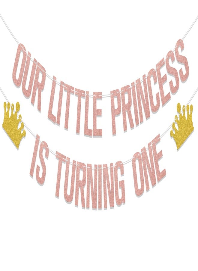 WFKLDF Our Little Princess 1st Birthday Party Decorations, Princess Theme Happy Birthday Decor, Girls Baby Shower Party Supplies - Image 1
