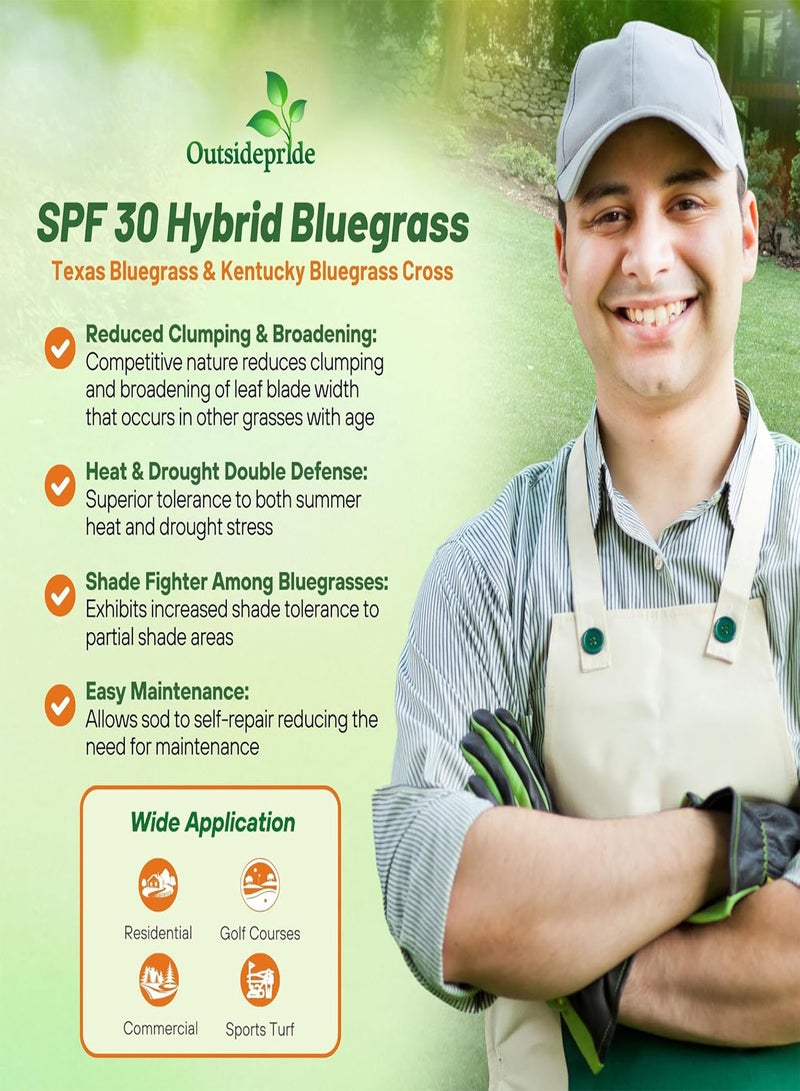 GGOOT SPF-30 Hybrid Bluegrass Seeds - 5 gs. Heat & Drought Tolerant, Texas Bluegrass & Kentucky Bluegrass Seed Mix for Challenging Climates, OptiGrowth Coated for Better Establishment - Image 3