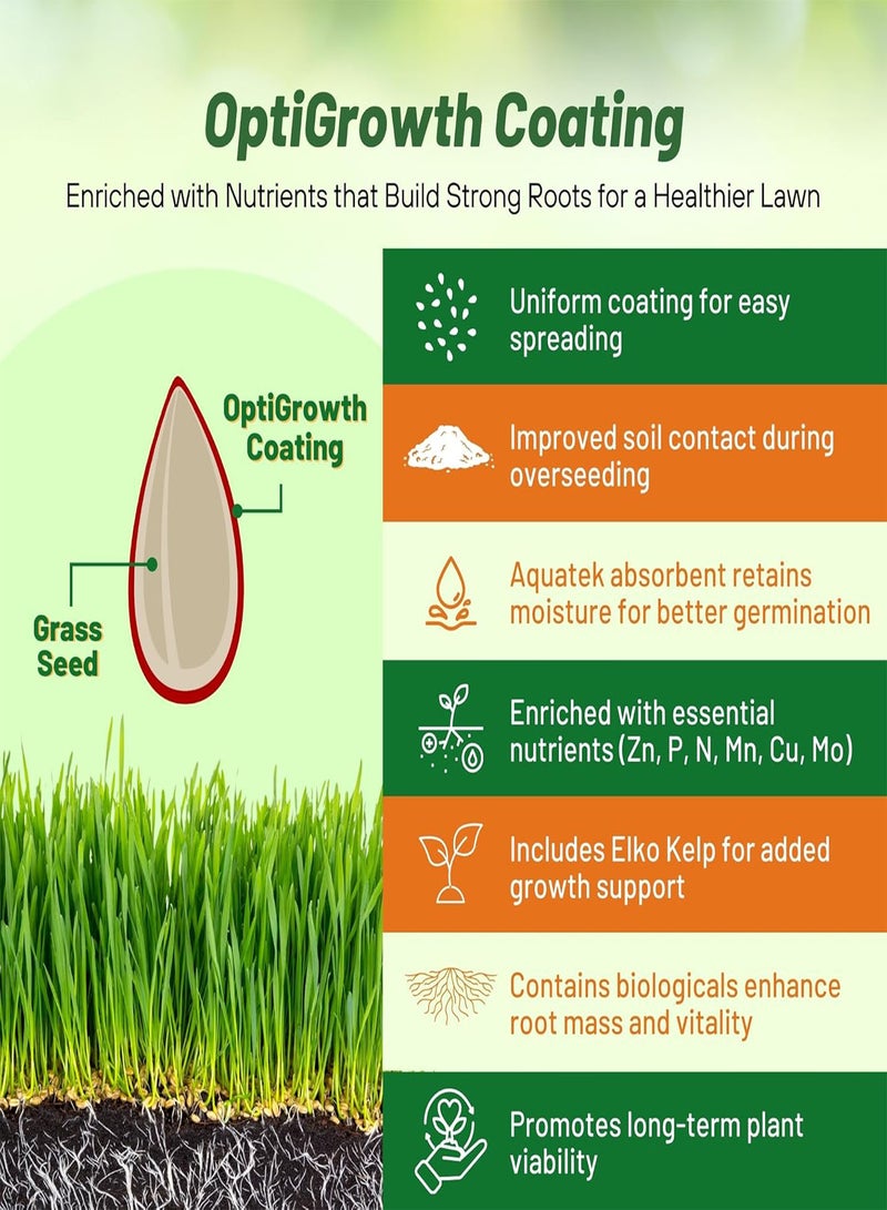 GGOOT SPF-30 Hybrid Bluegrass Seeds - 5 gs. Heat & Drought Tolerant, Texas Bluegrass & Kentucky Bluegrass Seed Mix for Challenging Climates, OptiGrowth Coated for Better Establishment - Image 5