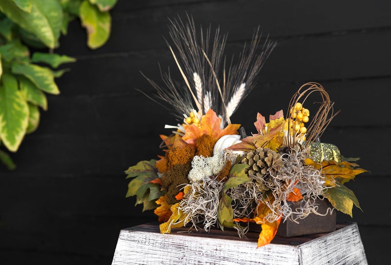 SuperMoss (26911) Spanish Moss Dried, Natural, 8 Ounces (Pack of 1) - Image 3