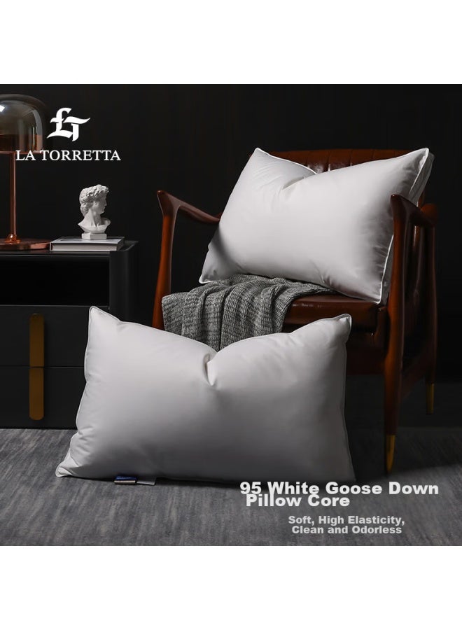 La Torretta Pillow, Down Pillow, 95% White Goose Down Pillow Core, High-elasticity Star-rated Hotel Satin Goose Down Pillow, One Piece - Image 1