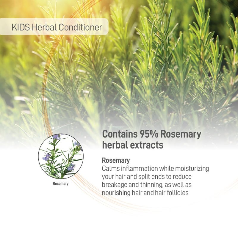 Moraz Natural Kids Conditioner - Gentle Defining Conditioner Made with Rosemary Extract, Hair Care Kids Conditioner for All Hair Types, Tangle Free, Moisturizing and Nourishing Hair, 17 FL. OZ - Image 3