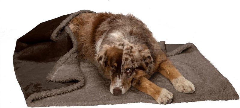 Furhaven Waterproof & Self-Warming Throw Blanket for Dogs & Indoor Cats, Washable & Reflects Body Heat - Soft-Edged Terry & Sherpa Dog Blanket - Espresso, Large - Image 1