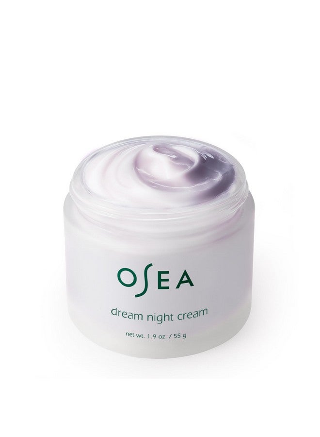 OSEA Dream Night Cream - Anti-Aging Hydrating Face Cream with Algae-Derived Bio Retinol - Plumps, Firms, & Smooths Line and Wrinkles - Image 2