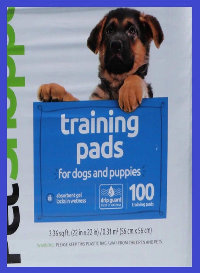 PET SHOPPE PetShoppe Dog Training Pads100.0ea 1 Pack - Image 3