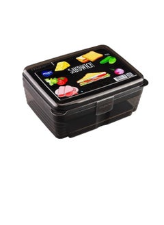 1100ml Double Layer Divided Lunch Box Black