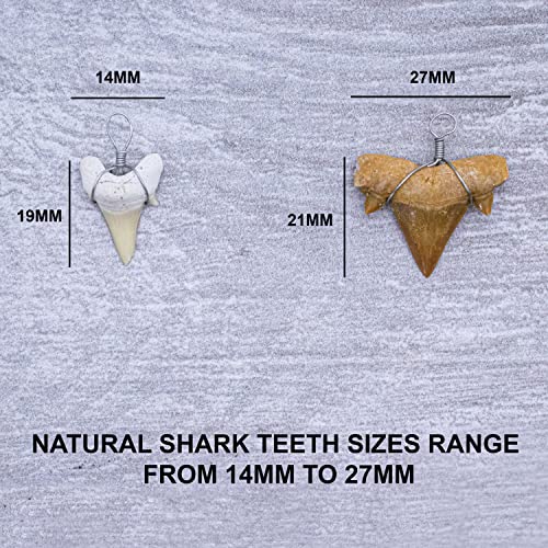 Fun-Weevz Real Shark Teeth for Jewelry Making, 12 Assorted Fossil Sharks Tooth Pendant Jewelry Accessories for Necklace, Small Bulk Wire Wrapped Fossils - Image 4