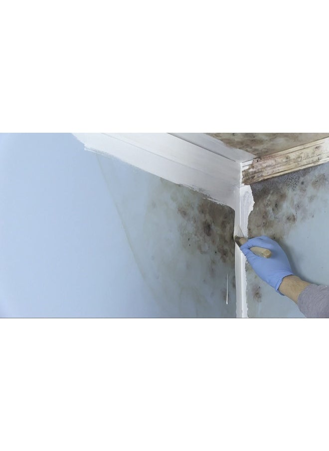 RUST-OLEUM - مادة أساس لقتل العفن من زينسر 276087 كوارت - Image 1