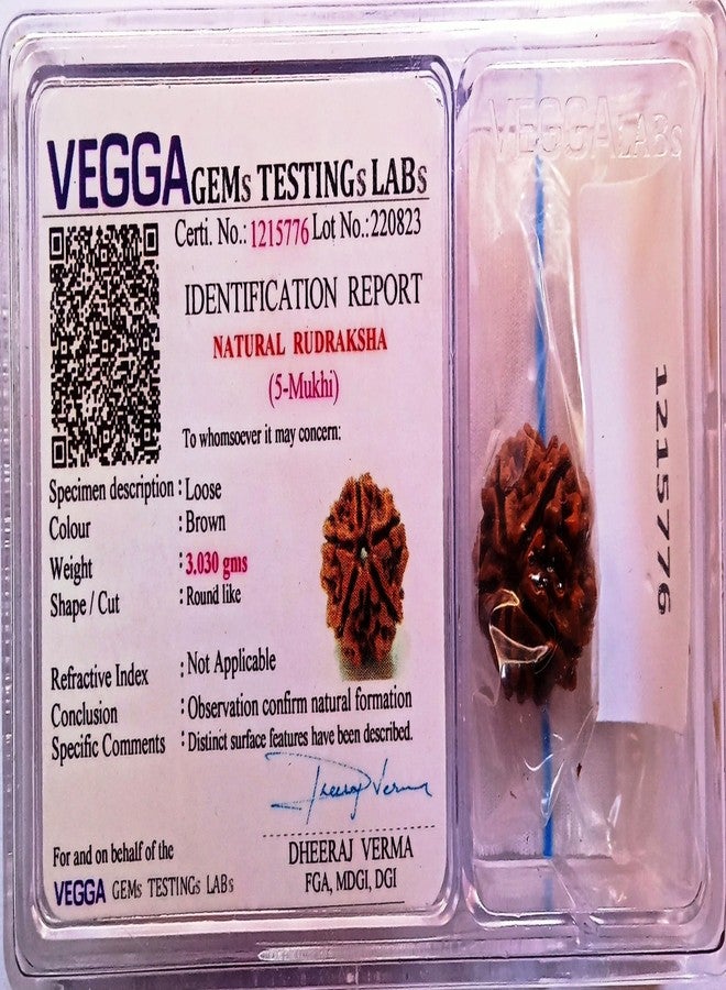 Clickmart Natural 5 Mukhi Nepali Rudraksha Five Face Rudraksh with Lab Certificate | Positive Effect | Unisex Both for Men & Women (Brown) - Image 1