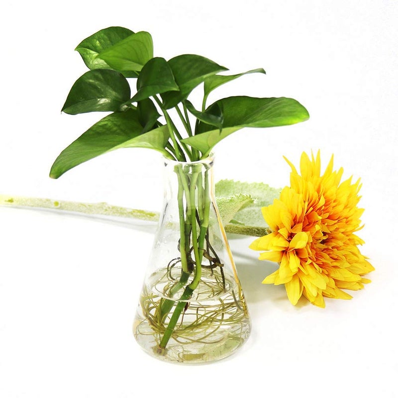 ULAB Scientific Narrow-Mouth Glass Erlenmeyer Flask Set, 34oz 1000ml, 3.3 Borosilicate with Printed Graduation, Pack of 2, UEF1027 - Image 2