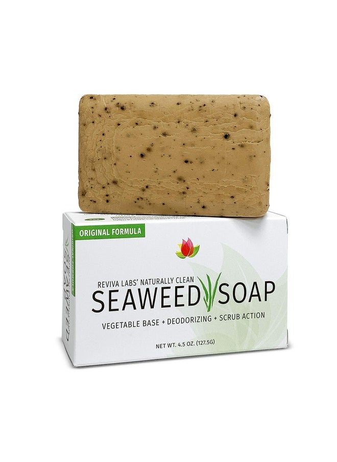 Reviva Labs - Reviva Original Formula Seaweed Soap 4.5 Oz. (127.5 G) Naturally Clean And Deodorize Your Skin With This Freshly Scented Soap - Image 1
