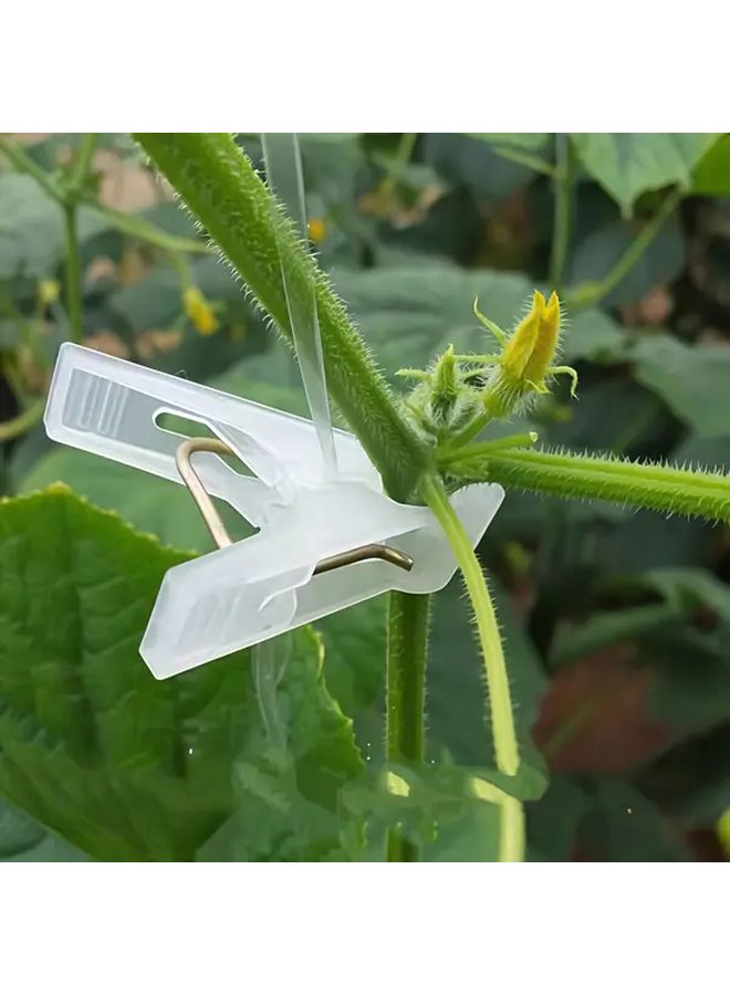 30 Pcs Reusable Black Garden Plant Clips Durable Lightweight Vegetable And Cucumber Support Clips With Secure Grip For Tomato Pepper Squash Stems Ideal For Greenhouse And Outdoor Gardening Transparent Sturdy Construction - Image 2