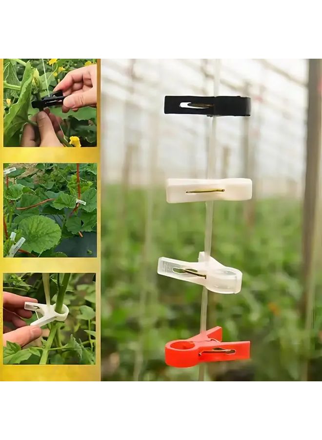 30 Pcs Reusable Black Garden Plant Clips Durable Lightweight Vegetable And Cucumber Support Clips With Secure Grip For Tomato Pepper Squash Stems Ideal For Greenhouse And Outdoor Gardening Transparent Sturdy Construction - Image 1