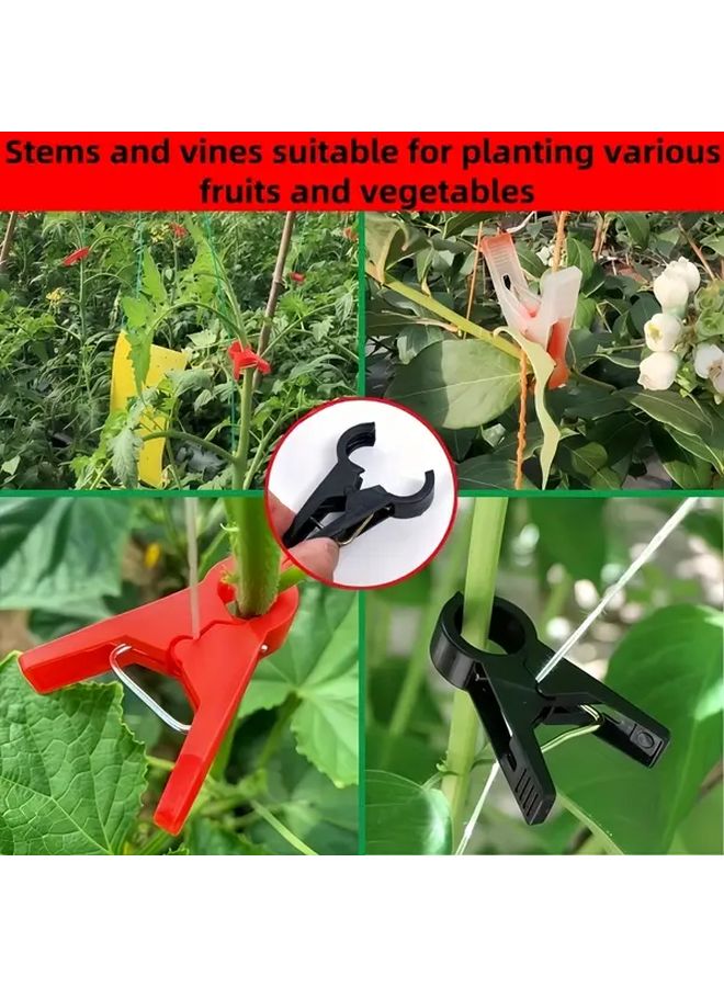 30 Pcs Reusable Black Garden Plant Clips Durable Lightweight Vegetable And Cucumber Support Clips With Secure Grip For Tomato Pepper Squash Stems Ideal For Greenhouse And Outdoor Gardening Transparent Sturdy Construction - Image 4