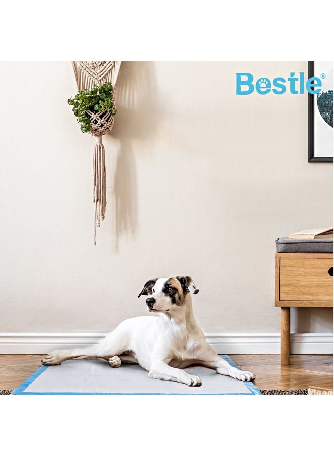 BESTLE Extra Large Pet Training and Puppy Pads Pee Pads for Dogs 30"x36" Super Absorbent & Leak-Proof, 30 Count - Image 4