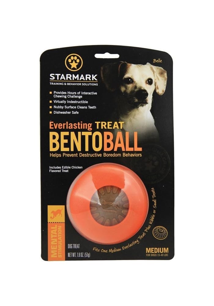 Starmark Everlasting Treat Bento Ball - Tough Dog Chew Toy for Medium Breeds - Image 1