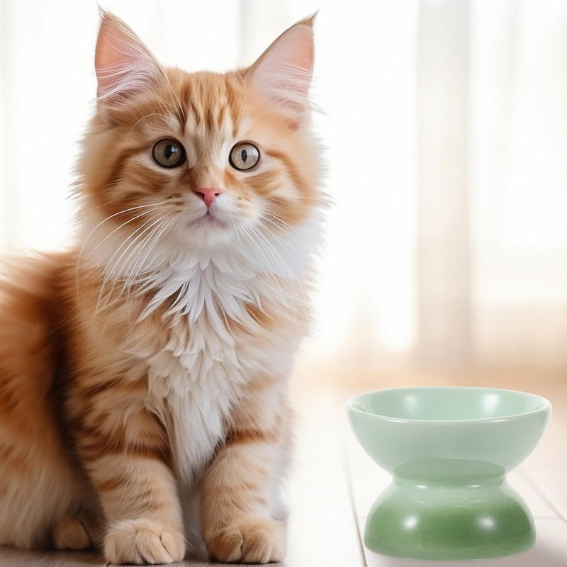 Mikikit Ceramic Raised Cat Bowl Tilted Elevated Food and Water Feeder Anti-Vomit Porcelain Dish for Indoor Cats and Kittens with Gradient Green Round Design - Image 5