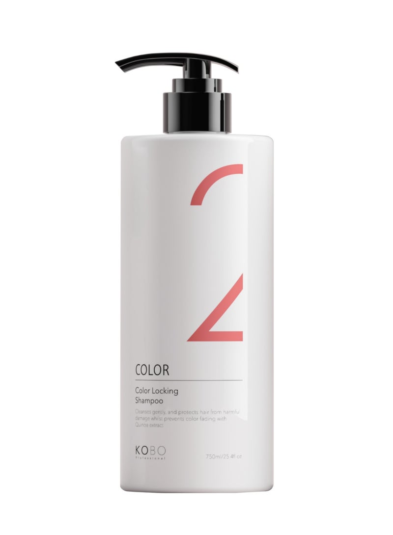 2 COLOR LOCKING SHAMPOO 750ML