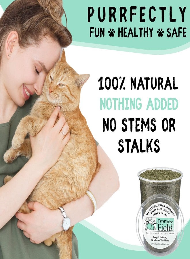 from The Field | Fine Ground Stalkless Catnip | Premium USA-Grown Catnip for Toys & Playtime | Fresh, Potent, Non-Toxic, Eco-Friendly | Safe for Kittens & Cats | Resealable 10 Oz Bag - Image 3
