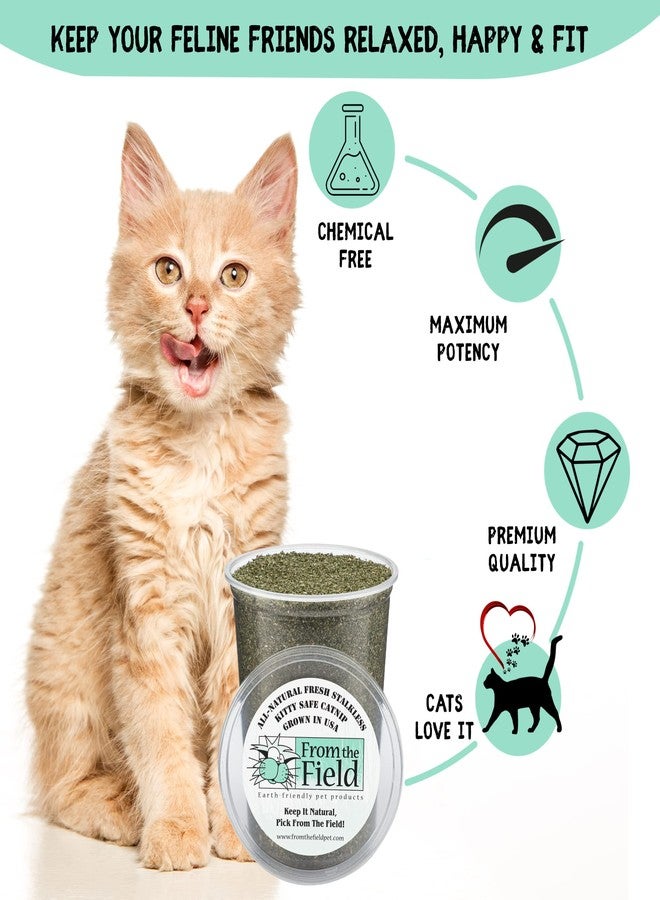 from The Field | Fine Ground Stalkless Catnip | Premium USA-Grown Catnip for Toys & Playtime | Fresh, Potent, Non-Toxic, Eco-Friendly | Safe for Kittens & Cats | Resealable 10 Oz Bag - Image 4