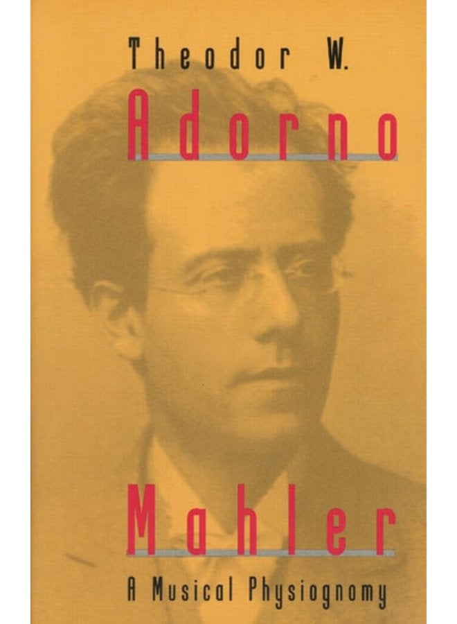 Mahler A Musical Physiognomy - Paperback