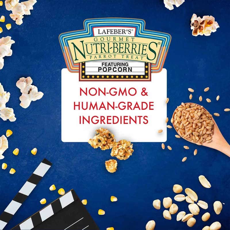 LAFEBER'S Popcorn Nutri-Berries, for Parrots, 4 oz Bag (Pack of 2) - Image 4