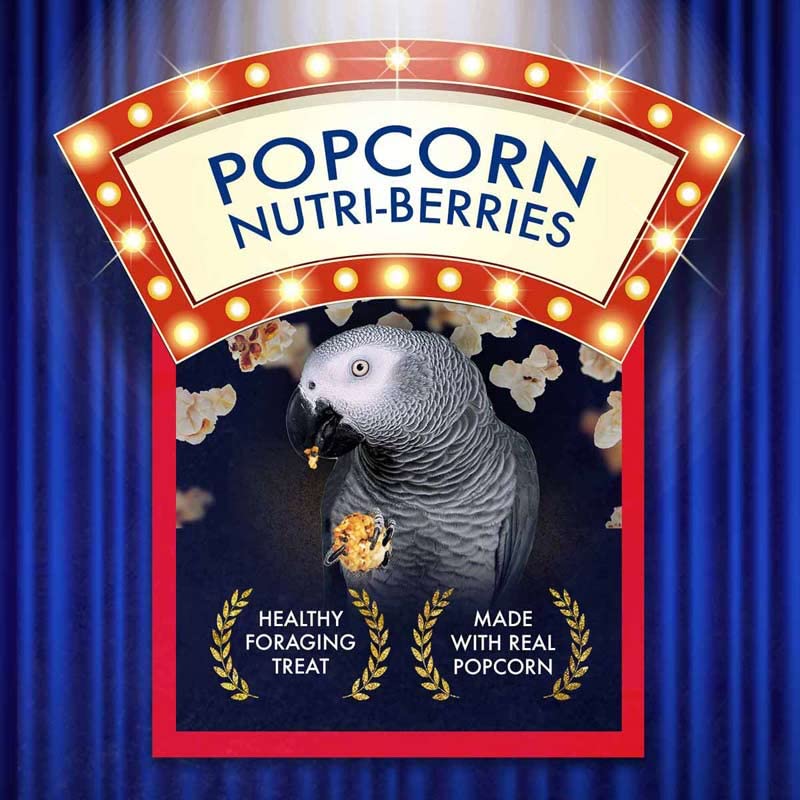 LAFEBER'S Popcorn Nutri-Berries, for Parrots, 4 oz Bag (Pack of 2) - Image 2