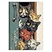 PPuzzling Cat Puzzles for Adults 1000 Pieces Colorful Cats Jigsaw Puzzles Challenging Animal Cute Kitten Puzzle as Home Wall Art - Image 4