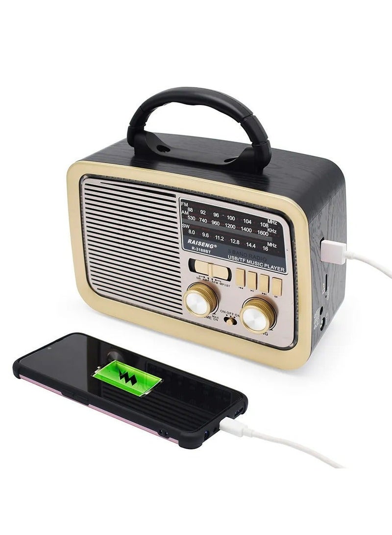 راديو  HI-FI بثلاث قنوات FM - AM - SW ذهبي/بني/أسود بلوتوث AUX بطاقة TF قرص فلاش USB - Image 4